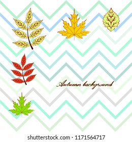deciduous autumn vector background