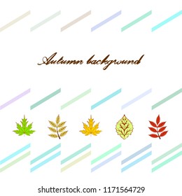 deciduous autumn vector background