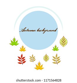 deciduous autumn vector background
