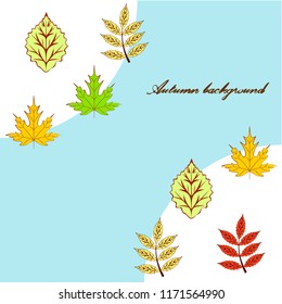 deciduous autumn vector background