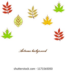 deciduous autumn vector background