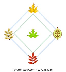 deciduous autumn vector background