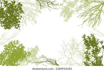 Deciduous and bare branches of trees silhouette, background. Vector illustration 