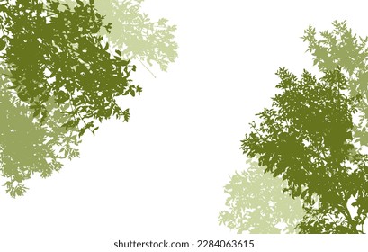 Deciduous branches of trees silhouette, background. Vector illustration