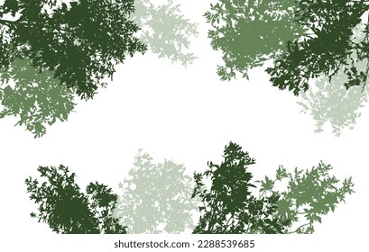 Deciduous branches of trees silhouette, background. Vector illustration