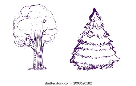 Árbol caducifolio y conífero aislado en fondo blanco. Dibujar arte. Objetos dibujados a mano.