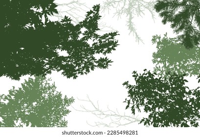 Deciduous and coniferous, and bare branches of trees silhouette, background. Vector illustration  