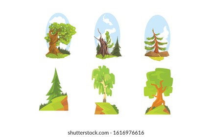 Deciduous and Coniferous Trees, Beautiful Summer Landscape Elements Vector Illustration
