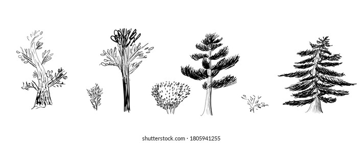 Deciduous and coniferous trees and bushes. A set of trees and bushes. The contours of each object are grouped. Ink sketch, hand drawing.
Print, illustration, cover, design element.