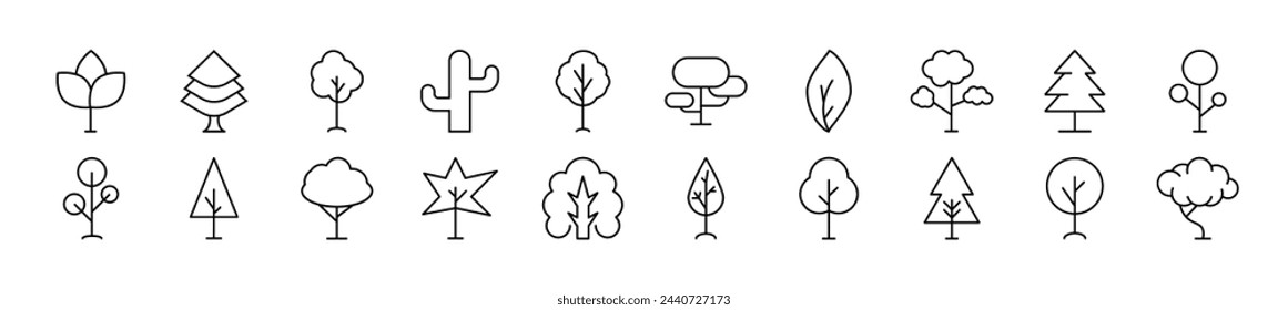 Imágenes vectoriales de caducidades y coníferas dibujadas con línea delgada. Trazo editable. Ilustración lineal simple para sitios web, periódicos, libros de artículos