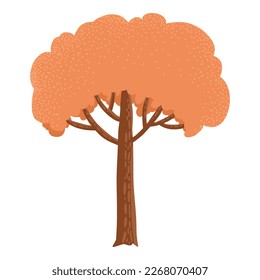 Deciduous and evergreen forest plant isolated on white background. Botanical bare tree and ones with leaves and lush crowns. Flat vector illustration on white background.