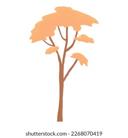 Deciduous and evergreen forest plant isolated on white background. Botanical bare tree and ones with leaves and lush crowns. Flat vector illustration on white background.