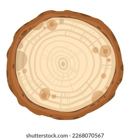 Plantas de bosque caducifolias y evervescentes aisladas en fondo blanco. Árbol bruta botánico y otros con hojas y coronas exuberantes. Ilustración vectorial plana sobre fondo blanco.