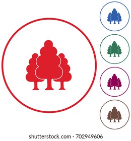 Deciduous forest icon. Vector illustration