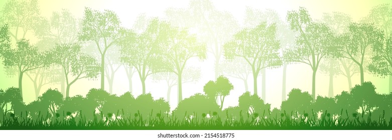 Deciduous forest on a summer morning, panoramic view, vector illustration