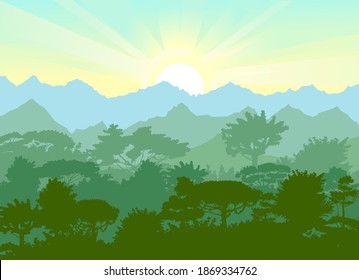 Deciduous forest. Silhouette. Mature, spreading trees. Thick thickets. Hills overgrown with plants. On the horizon there are mountains and ebo with the sunrise. Morning. Vector