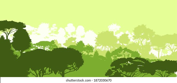 Deciduous forest. Silhouette. Mature, spreading trees. Thick thickets. Hills overgrown with plants. Sky. Vector