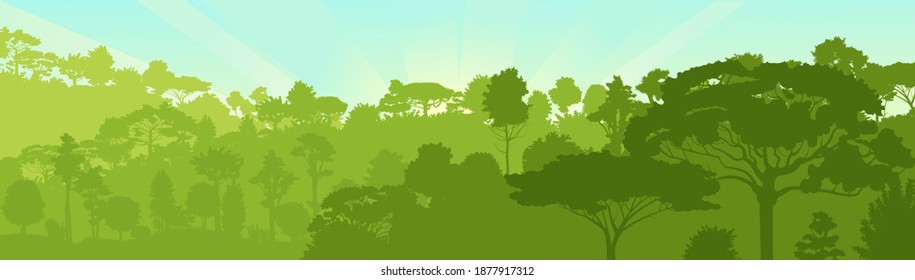 Deciduous forest. Silhouette. Mature, spreading trees. Thick thickets. Hills overgrown with plants. Sky. Vector