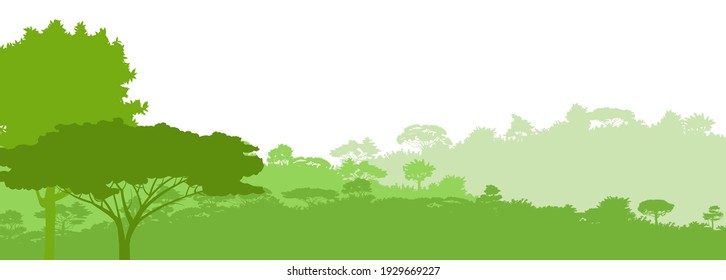 Deciduous forest. Silhouette. Mature, spreading trees. Thick thickets. Hills overgrown with plants. Isolated on a white background. Vector