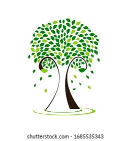 Deciduous green leaves of a tree with a white background