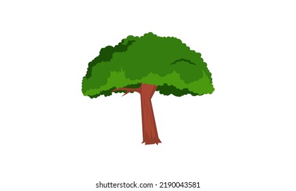 Deciduous green tree with exposed roots isolated vector illustration