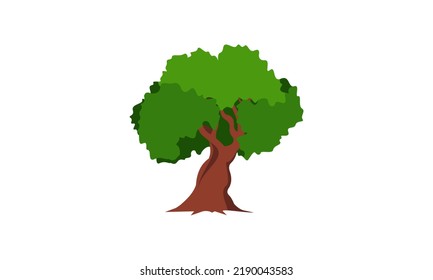 Árbol verde caducifolia con raíces expuestas aisladas de ilustración vectorial