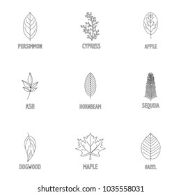 Deciduous icons set. Outline set of 9 deciduous vector icons for web isolated on white background