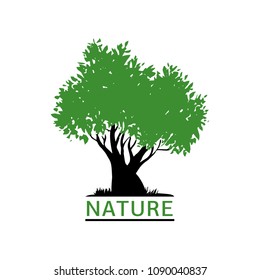 ? deciduous oak tree or willow tree with a multitude of brittle branches with a thick green trunk and a lush crown. Hand-drawn vector logo illustration.