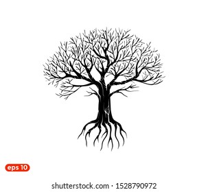 deciduous old trees. dead tree drought