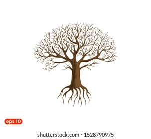 deciduous old trees. dead tree drought