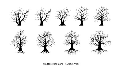 Deciduous teak trees. vector black deciduous teak trees silhouette of a bare tree