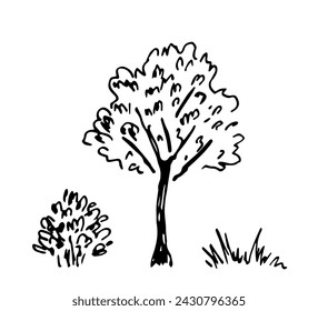 Árbol de hoja caduca, arbusto y hierba, plantas forestales, parque. Naturaleza y vegetación. Dibujo vectorial simple con contorno negro. Esbozo con tinta.