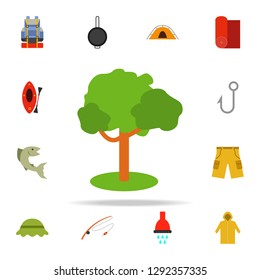 deciduous tree colored illustration icon. Camping icons universal set for web and mobile