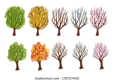 deciduous tree at different times of the year. what trees look like in winter, summer, spring and autumn. Vegetation in bloom, fall foliage, greenery, snow.