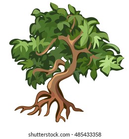 Deciduous tree with exposed roots isolated on white background. Vector illustration.
