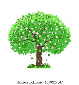 Deciduous tree in four seasons - spring, summer, autumn, winter. Nature and ecology. Natural object for landscape design or park. Cartoon style. Green tree illustration Isolated on white background.