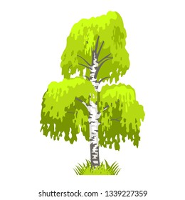 Deciduous tree in four seasons - spring, summer, autumn, winter. Nature and ecology. Natural object for landscape design or park. Cartoon style. Green tree illustration Isolated on white background.