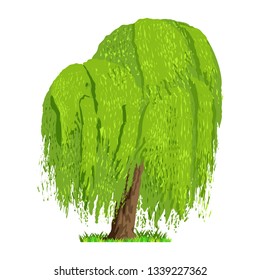 Deciduous tree in four seasons - spring, summer, autumn, winter. Nature and ecology. Natural object for landscape design or park. Cartoon style. Green tree illustration Isolated on white background.