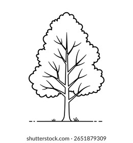 A deciduous tree with a full canopy, drawn in a detailed, hand-sketched style. An illustration of a summer plant for nature designs.