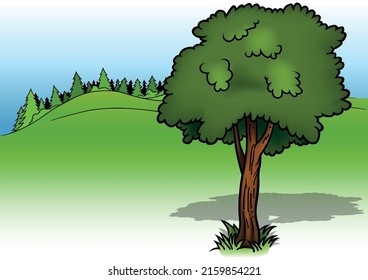 Deciduous Tree with Green Foliage - Colored Cartoon Illustration with Background, Vector