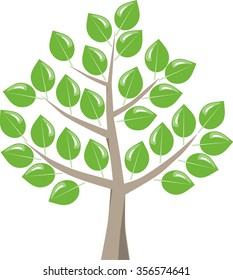 Deciduous tree with green fresh leaves after bud break in the spring. Symbolic graphic on white background.