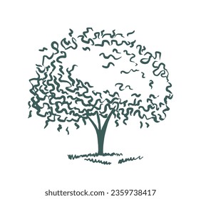 Deciduous tree. Hand drawn ink. Sketch of plants. Isolated on white background. Vector illustration.