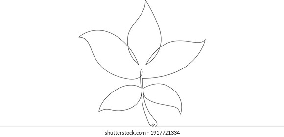 Deciduous tree leaf. Leaves. One continuous drawing line  logo single hand drawn art doodle isolated minimal illustration.