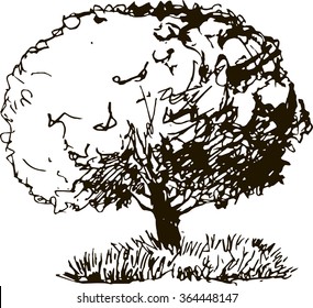 deciduous tree with leaves and grass drawing by pencil, sketch of wild nature, forest doodle, hand drawn vector illustration