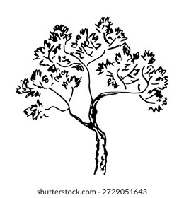 Laubiger Baum mit üppiger Krone. Eine einfache handgezeichnete Vektorgrafik mit einem schwarzen Umriss. Natur, Pflanzen, Wald und Vegetation. Tintenskizze.