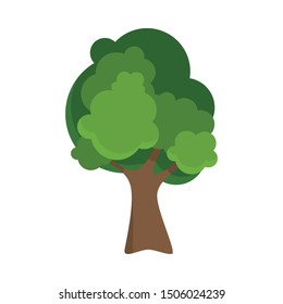 Deciduous tree with lush dark green crown illustration