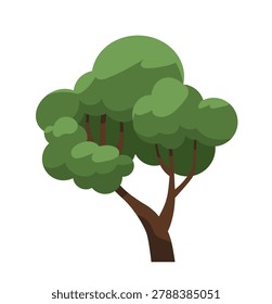 Deciduous tree with lush green canopy. Summer forest plant. Broad leafy oak with dense crown, big trunk. Foliage leaf nature. Flat cartoon vector illustration isolated on white background
