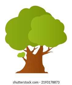 Deciduous tree - modern flat design style single isolated image. Neat detailed illustration of green oak. Large plant stand in park or forest. Flora, big trunk, bark. Spring, summer and nature idea