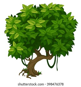 Deciduous tree in the Park. Landscaping and wildlife. Vector illustration.