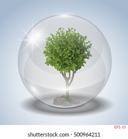 Deciduous tree in a protective glass sphere ball. Vector graphics